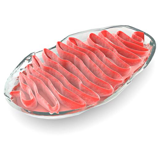 cell, cellular, red, meat, gelly, bacteria Vampy1