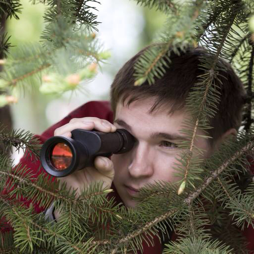 man, person, spy, binoculars, tree, trees, nature Jura Vikulin (Jura485)
