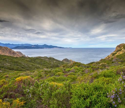 nature, landscape, sea, ocean, green, sky, storm Jon Ingall (Joningall)