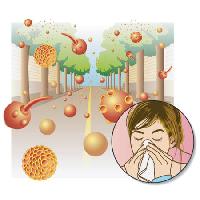 Pixwords The image with trees, tree, nose, sneeze, road, girl, woman, germs Rob3000 - Dreamstime