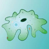 Pixwords The image with cell, cellular, green, slime, smudge Designua - Dreamstime