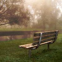 Pixwords The image with bench, forest, river, water, grass, fog Gary Lewis (Paul_lewis)