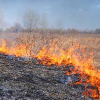 Pixwords The image with fire, field, ash, ashes, sky Sergey76