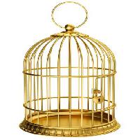 Pixwords The image with bird, cage, gold, lock Ayvan - Dreamstime