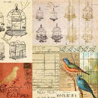 Pixwords The image with cage, bird, birds, drawing Jodielee