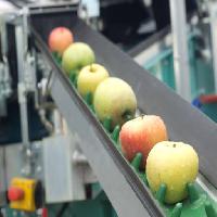 Pixwords The image with apples, food, machine, factory Jevtic