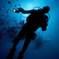Pixwords The image with water, man, diver, blue, light, bubbles Planctonvideo