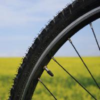 bike, wheel, green, grass, field, nature Leonidtit