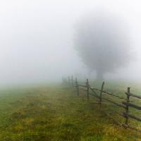Pixwords The image with fog, field, tree, fence, green, grass Andrei Calangiu - Dreamstime