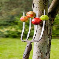 Pixwords The image with apples, fork, tree Krzysztof Drygalski - Dreamstime