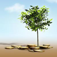 Pixwords The image with tree, money, green Andreus - Dreamstime
