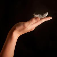 Pixwords The image with feather, hand, black Jochen Schönfeld - Dreamstime