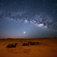 Pixwords The image with sky, night, , desert, camels, stars, moon Valentin Armianu (Asterixvs)