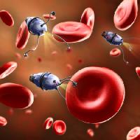 Pixwords The image with blood, bot, cell, red, veins Andreus - Dreamstime