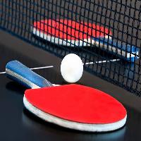 Pixwords The image with ball, ping, pong, ping pong, net Theresa Granger (Shyfotogrfr)