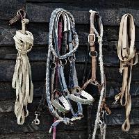 horse, rope, ropes, objects Vladimir Lukovic (Radelukovic)