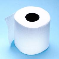 toilet paper, toilet, paper, white, bathroom Al1962 - Dreamstime