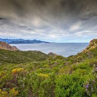 nature, landscape, sea, ocean, green, sky, storm Jon Ingall (Joningall)
