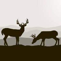 Pixwords The image with deer, deers, black, landscape, animals, animal Dagadu - Dreamstime