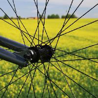 Pixwords The image with wheel, land, grass, field, bike, yellow Leonidtit
