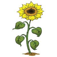 yellow, grow, flower, green, plant Dedmazay - Dreamstime