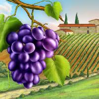 Pixwords The image with grapes, yard, green, leaf, vine, farm Andreus - Dreamstime