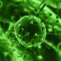 Pixwords The image with bacteria, virus, bug, illness, cell Sebastian Kaulitzki - Dreamstime